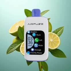 Airfuze Smart Pro 40000 Slovenia vape Miami Mint 900mAh 20ml 2%/5%