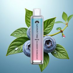 Hayati Pro Max 4000 Puffs Disposable Vape Borovnični Bubblegum 2ml/10ml 1400mAh