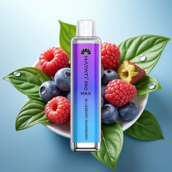 Hayati Pro Max 4000 Puffs ODPADNI VAPE Borovnica Malina, 2ml/10ml, 2%/5%, 1400mAh