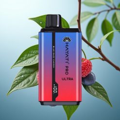 Hayati Pro Ultra 15000 Puffs Modra Malina Češnja 2×12ml 2% 49 okusov