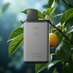 Adalya AD 10000 Slovenia vape Berlin Night 14 ml 2% 650 mAh USB-C