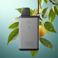 Adalya AD 10000 Slovenia vape Space Gray 14ml 2% USB-C 650mAh