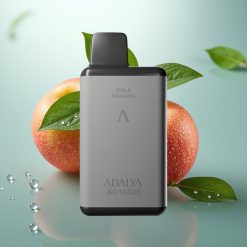 Adalya AD 10000 Slovenia vape Space Gray Dve Jabolki 14ml 2% USB-C