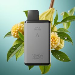 Adalya AD 10000 Slovenia vape Space Gray, Hawaii, USB-C, 14 ml, 2%