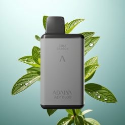 Adalya AD 10000 Slovenia vape Space Gray Mint Point 14ml 2% USB-C