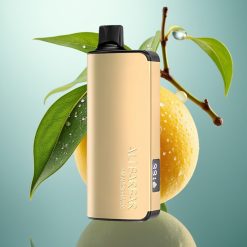 Alibarbar Ingot 9000 Puffs 22ml 2350mAh 1.2Ohm Mango Magic (Mangova Čarovnija)
