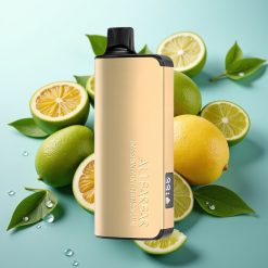 Alibarbar Ingot 9000 Puffs 22ml 2350mAh 1.2Ω Pasijonasti mango laim