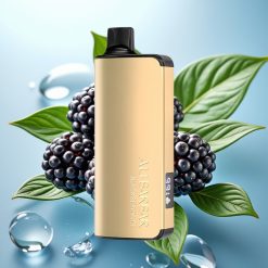 Alibarbar Ingot 9000 Puffs 22ml/2350mAh LED Črni robidov led Disposable Vape