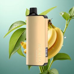 Alibarbar Ingot 9000 Slovenia vape 22ml 2350mAh Bananovo Bzz