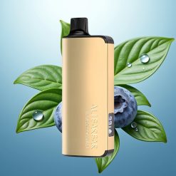 Alibarbar Ingot 9000 Slovenia vape 22ml 2350mAh Modra Borovnica