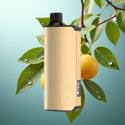 Alibarbar Ingot 9000 Slovenia vape 22ml 2350mAh Črni gozd