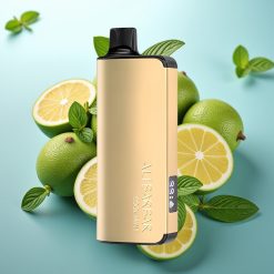 Alibarbar Ingot 9000 Slovenia vape 22ml 2350mah 1.2 Ohm Hladna Meta