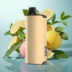 Alibarbar Ingot 9000 Slovenia vape 22ml/2350mah Roza Limona