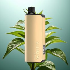 Alibarbar Ingot 9000 Slovenia vape 22ml/2350mah/Tobako LED