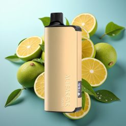 Alibarbar Ingot 9000 Slovenia vape Fanta 22ml/2350mAh/90g