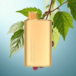 Alibarbar Rich 8000 Puffs 20ml/2000mAh/1.1Ohm Enkratna E-cigareta Grozdje Hubba Bubba