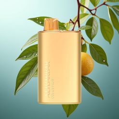 Alibarbar Rich 8000 Pufi 20ml/2000mAh/1.1Ohm Hudičevo Sadje