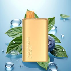 Alibarbar Rich 8000 Slovenia vape 20ml/2000mAh/1.1Ohm Borovnični Led