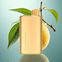 Alibarbar Rich 8000 Slovenia vape 20ml 2000mAh 1.1Ohm Mango Magični